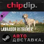 theHunter: Call of the Wild™ - Labrador Retriever DLC