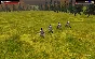 ⭐ Broadsword: Age of Chivalry Steam Key 🔑GLOBAL (NO TR
