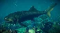 Jurassic World Evolution 2: Prehistoric Marine Species 