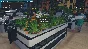🚀 Hydroponics Farm & Store Simulator 🤖 Steam Gift