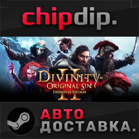 Divinity: Original Sin 2 STEAM AUTO RU/UA/KZ/CIS