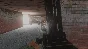 🚀 Biorage 🤖 Steam Gift RU + other ⚡ Autodelivery