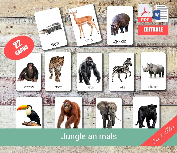 JUNGLE ANIMALS • 22 Editable Montessori Cards