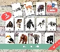 JUNGLE ANIMALS • 22 Editable Montessori Cards