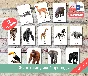 JUNGLE ANIMALS • 22 Editable Montessori Cards