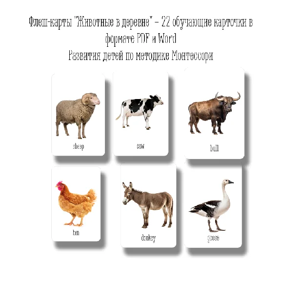 FARM ANIMALS • 22 Editable Montessori Cards