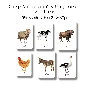 FARM ANIMALS • 22 Editable Montessori Cards