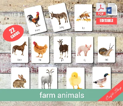 FARM ANIMALS • 22 Editable Montessori Cards