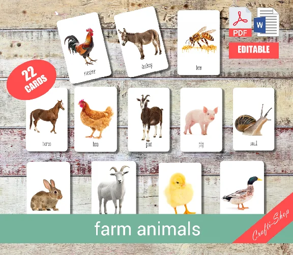 FARM ANIMALS • 22 Editable Montessori Cards