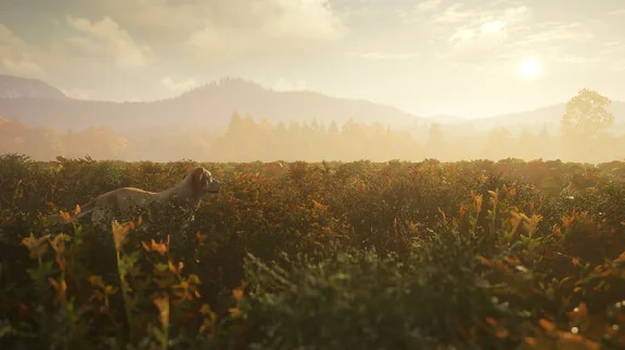 theHunter: Call of the Wild™ - Labrador Retriever✅STEAM