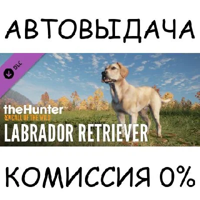 theHunter: Call of the Wild™ - Labrador Retriever✅STEAM
