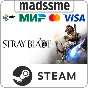 Stray Blade * RU/KZ/СНГ/TR/AR * STEAM 🚀 АВТОДОСТАВКА