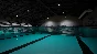 ⭐️ALL COUNTRIES⭐️ Sharks and Minnows STEAM GIFT