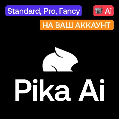 📹 Pika.art Ai | Standard, Pro, Fancy | To your account