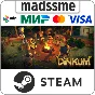 Dinkum * RU/KZ/СНГ/TR/AR * STEAM 🚀 АВТОДОСТАВКА