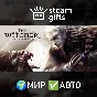 🎁The Witcher: Enhanced Edition🌍ROW✅AUTO