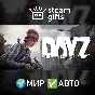 🎁DayZ Deluxe Edition🌍МИР✅АВТО