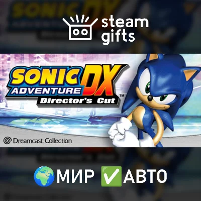 🎁Sonic Adventure DX🌍ROW✅AUTO