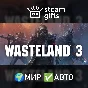 🎁Wasteland 3 Colorado Collection🌍ROW✅AUTO