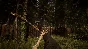 Sons Of The Forest | Steam | Обновления | АВТО 24/7