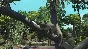 Zoo Tycoon Ultimate Animal Collection XBOX / WINDOWS 🔑