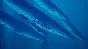 ABZU XBOX ONE / XBOX SERIES X|S [ Game Key 🔑 Code ]