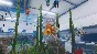 🚀 Aquarist - Laboratory DLC 🤖 Steam Gift AUTO