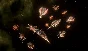 ⚡️Steam gift RU - Stellaris: BioGenesis | AUTODELIVERY