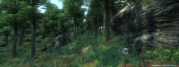 The Elder Scrolls IV Oblivion Game of the Year Edition