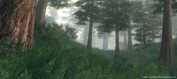 The Elder Scrolls IV Oblivion Game of the Year Edition