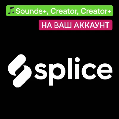 🎵 Splice | Sounds , Creator, Creator | To your account