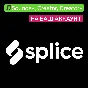 🎵 Splice | Sounds , Creator, Creator | To your account