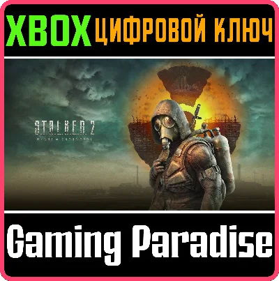 S.T.A.L.K.E.R. 2: HEART OF CHORNOBYL XBOX SERIES 🔑KEY