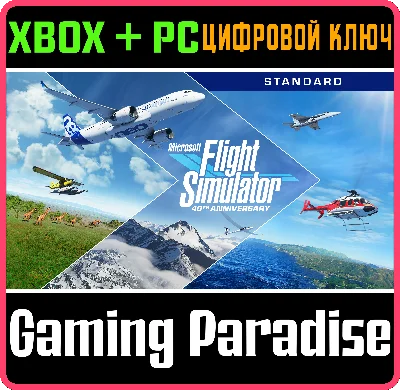 MICROSOFT FLIGHT SIMULATOR STANDARD 40TH ANNIVERSARY🔑