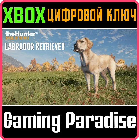 ❗THEHUNTER: CALL OF THE WILD - LABRADOR RETRIEVER🔑XBOX