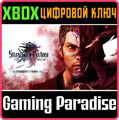 STRANGER OF PARADISE FINAL FANTASY ORIGIN DIGITAL DELUX