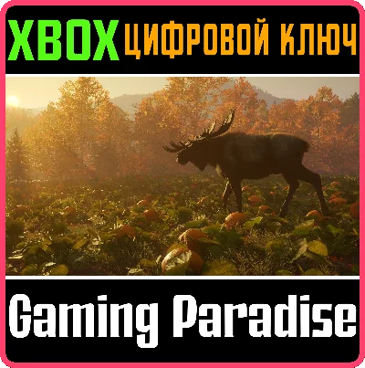 ❗ CALL OF THE WILD - NEW ENGLAND MOUNTAINS❗XBOX КЛЮЧ❗
