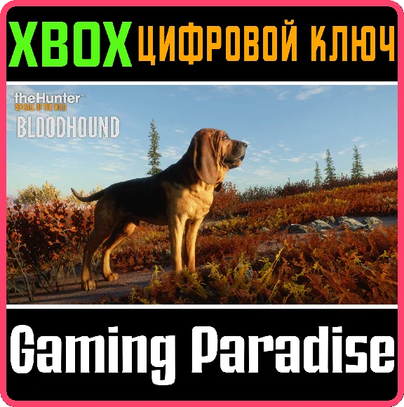 ❗THEHUNTER: CALL OF THE WILD - BLOODHOUND❗XBOX КЛЮЧ❗