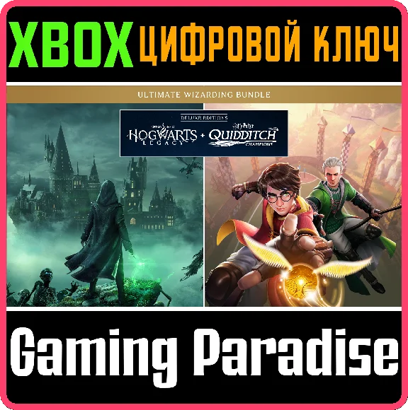 HOGWARTS LEGACY + HARRY POTTER: QUIDDITCH CHAMPIONS KEY