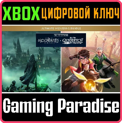 HOGWARTS LEGACY + HARRY POTTER: QUIDDITCH CHAMPIONS KEY