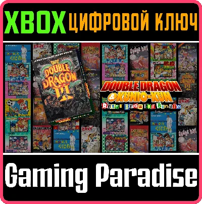 ❗DOUBLE DRAGON Ⅲ THE SACRED STONES XBOX ONE|X/S🔑KEY❗
