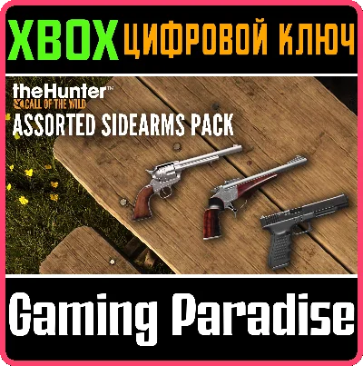 ❗CALL OF THE WILD - ASSORTED SIDEARMS PACK❗XBOX КЛЮЧ🔑