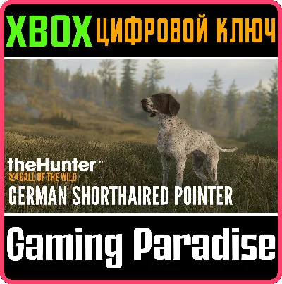 ❗THEHUNTER: CALL OF THE WILD - GERMAN SHORTHAIRED🔑XBOX