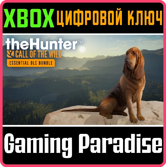❗THEHUNTER: CALL OF THE WILD - ESSENTIALS DLC ❗XBOX🔑🔑