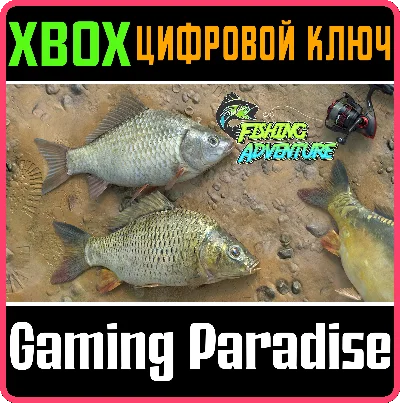 ❗FISHING ADVENTURE❗XBOX ONE/X|S🔑KEY❗