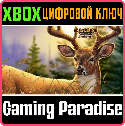 ❗BIG BUCK HUNTER ARCADE❗XBOX ONE/X|S🔑KEY❗