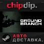 GROUND BRANCH STEAM AUTO RU/UA/KZ/CIS