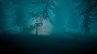 BIGFOOT | Steam | AUTO-GUARD 24/7 | Region Free