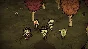 Don´t Starve Together: Starter Pack 2024✅STEAM GIFT✅