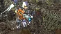 EARTH DEFENSE FORCE 6✅STEAM GIFT AUTO✅RU/УКР/КЗ/СНГ